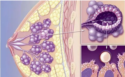 乳腺增生结节3类严重吗?要怎么治疗?